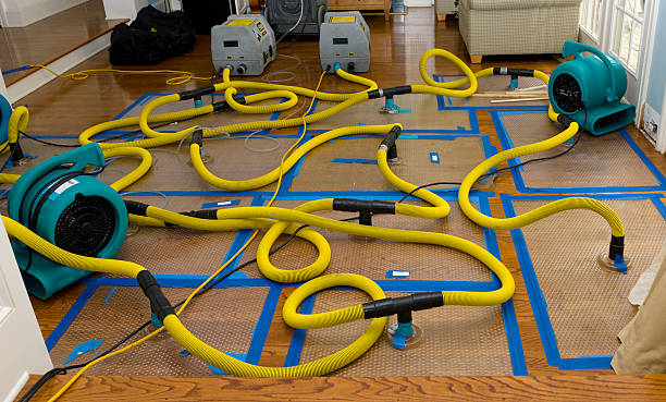Professional Flood Damage Restoration technician working in Ranchita, CA